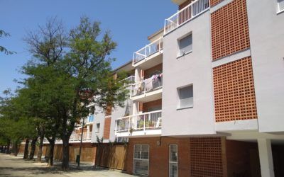 ¡El Proyecto BuildHeat no cierra por vacaciones!
