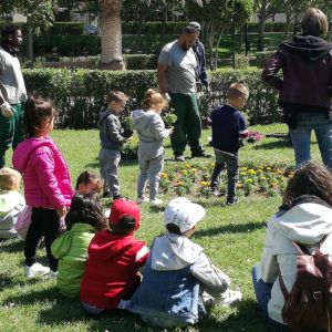 Intervención Comunitaria - Plantaciones