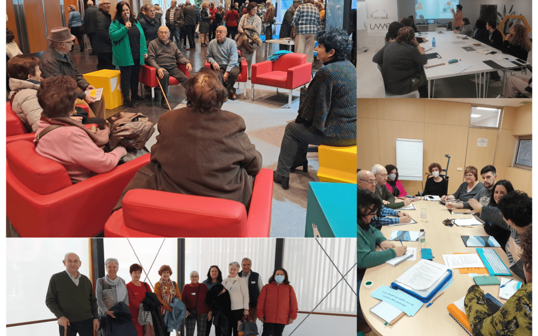 Proceso Colectivo “Modelo Gestión del Voluntariado Red Hogares del IASS” (Aragón)