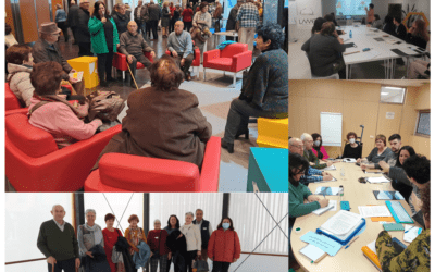 Proceso Colectivo “Modelo Gestión del Voluntariado Red Hogares del IASS” (Aragón)